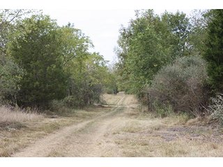 Property photo 54 - 419 +/- Acres offered in 6 Tracts, Land Auction